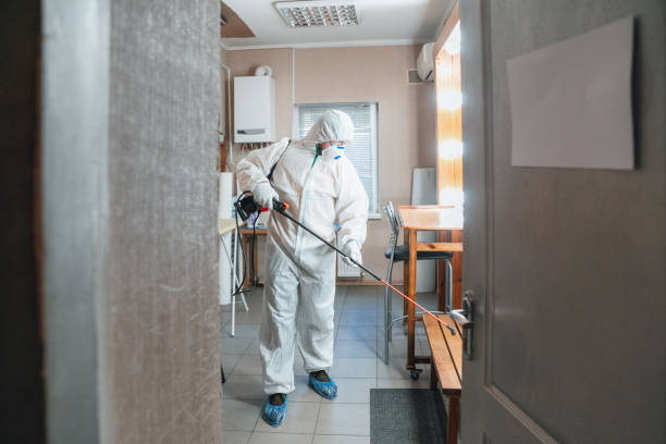 Best Mold Removal for HVAC Installations  in Premont, TX
