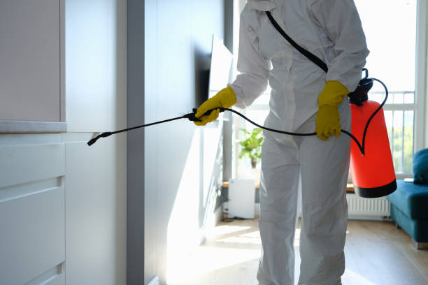 Best Air Quality Testing for Mold Spores  in Premont, TX