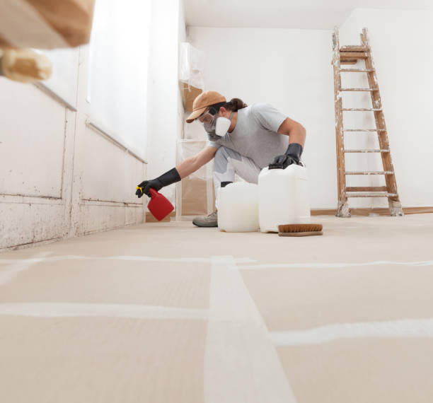 Mold Remediation for Vacation Homes in Premont, TX